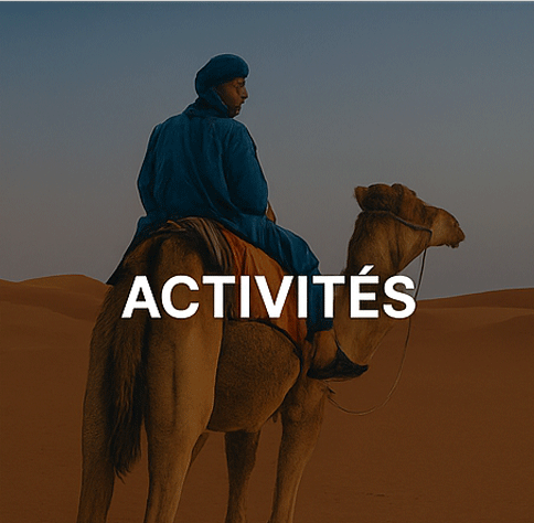 Activités excursions